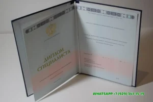 Купить диплом БашГУ филиала — Башкирского государственного университета филиала в Сочи